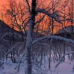 Stornes Panorama * Grinde (Nordreisa)