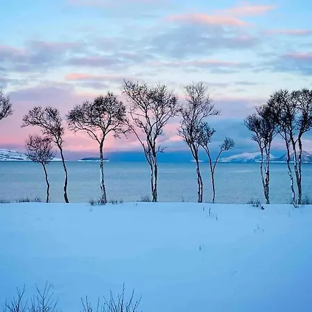 Villa Stornes Panorama Grinde (Nordreisa)
