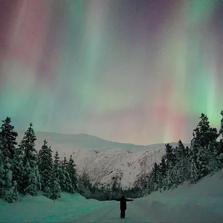 Villaer Stornes Panorama Grinde (Gildeskal)