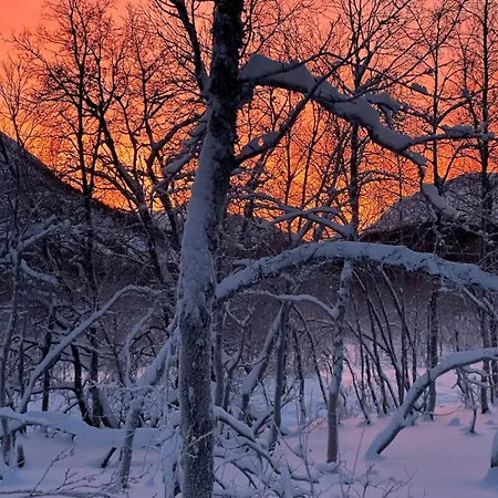 Stornes Panorama * Grinde (Nordreisa)