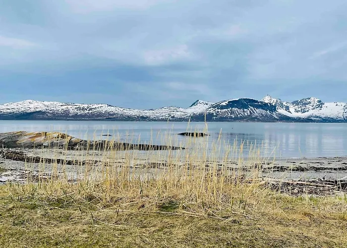 Stornes Panorama 别墅 *