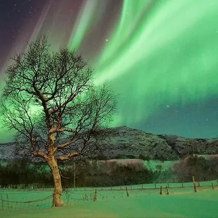 Stornes Panorama Villa